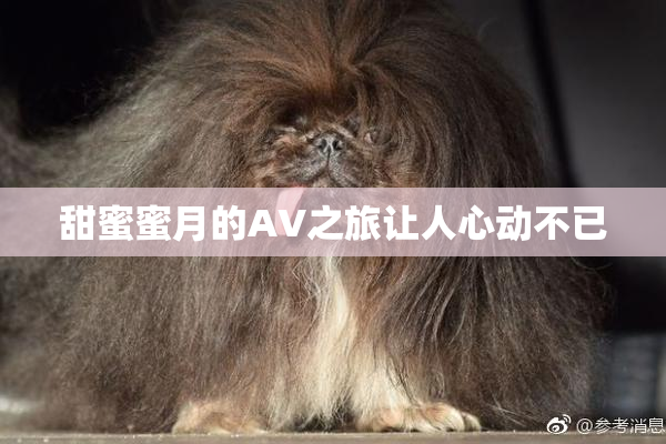 甜蜜蜜月的AV之旅让人心动不已