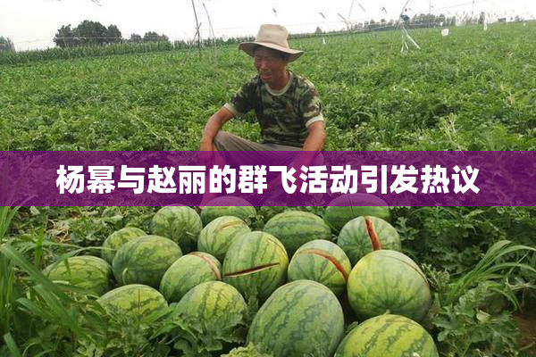 杨幂与赵丽的群飞活动引发热议