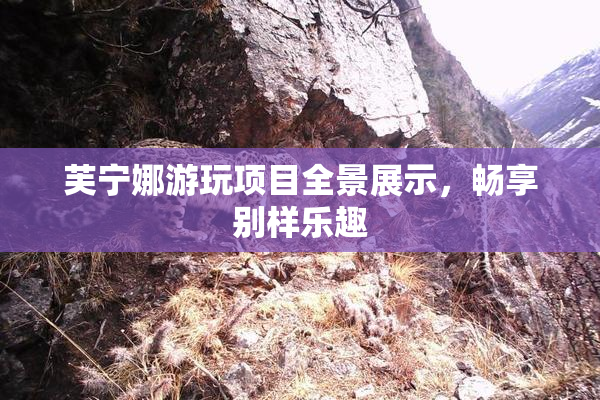 芙宁娜游玩项目全景展示，畅享别样乐趣