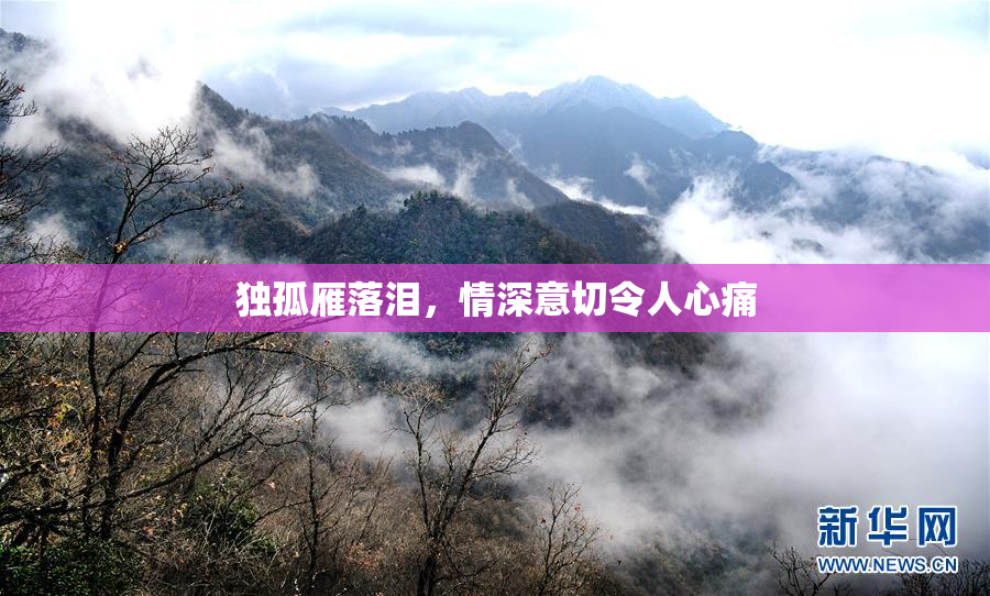 独孤雁落泪，情深意切令人心痛