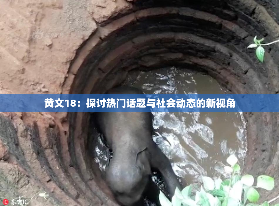黄文18：探讨热门话题与社会动态的新视角