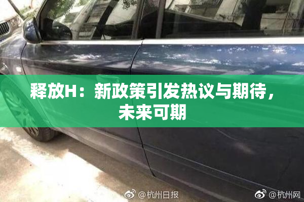 释放H：新政策引发热议与期待，未来可期