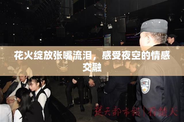 花火绽放张嘴流泪，感受夜空的情感交融