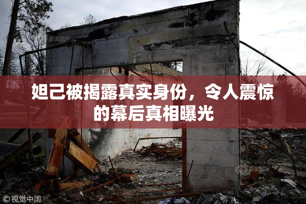 妲己被揭露真实身份，令人震惊的幕后真相曝光