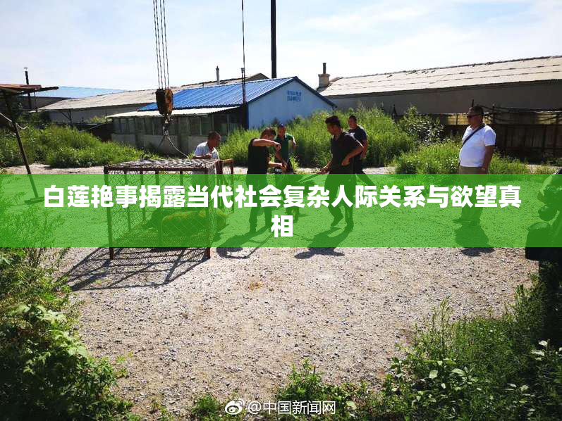 白莲艳事揭露当代社会复杂人际关系与欲望真相