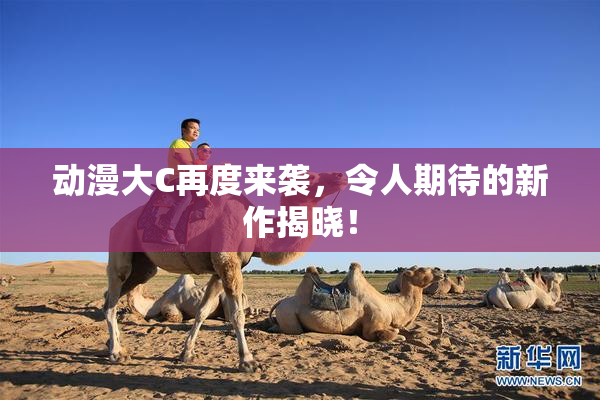动漫大C再度来袭，令人期待的新作揭晓！