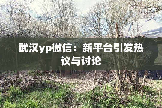 武汉yp微信：新平台引发热议与讨论
