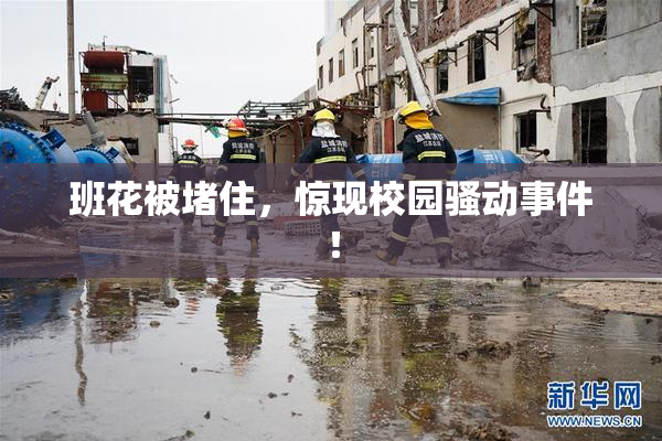 班花被堵住，惊现校园骚动事件！