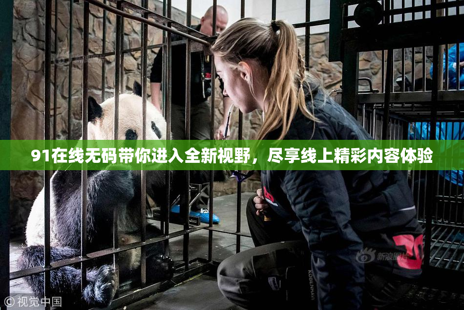 91在线无码带你进入全新视野，尽享线上精彩内容体验