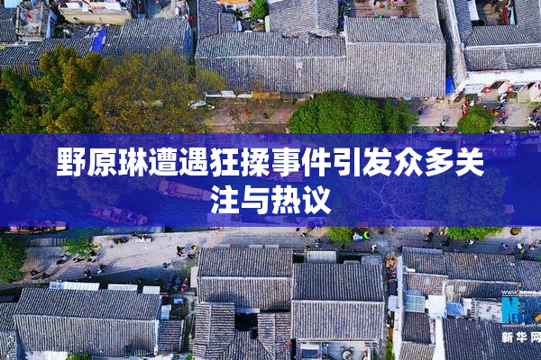 野原琳遭遇狂揉事件引发众多关注与热议