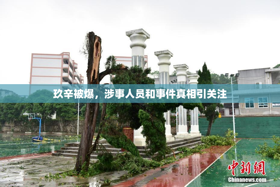 玖辛被爆，涉事人员和事件真相引关注