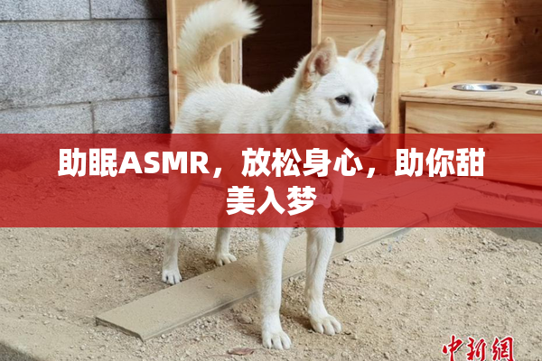 助眠ASMR，放松身心，助你甜美入梦