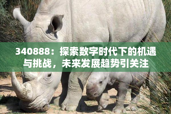 340888：探索数字时代下的机遇与挑战，未来发展趋势引关注