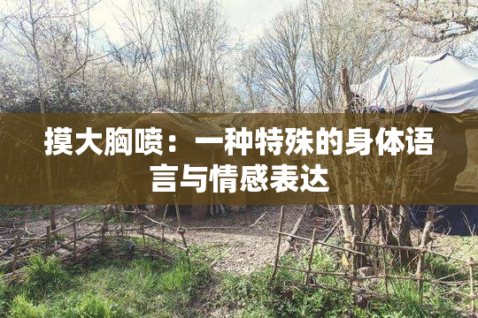 摸大胸喷：一种特殊的身体语言与情感表达