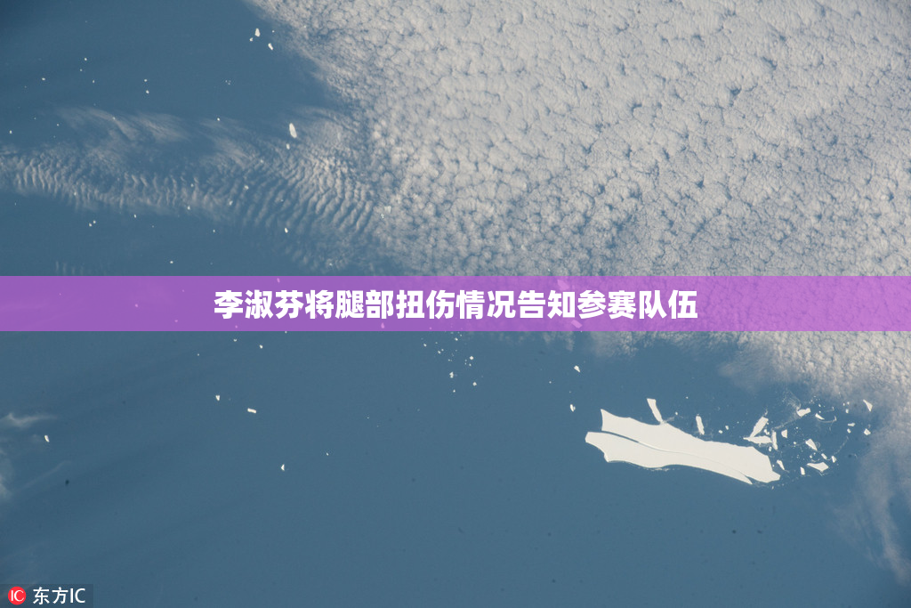 李淑芬将腿部扭伤情况告知参赛队伍