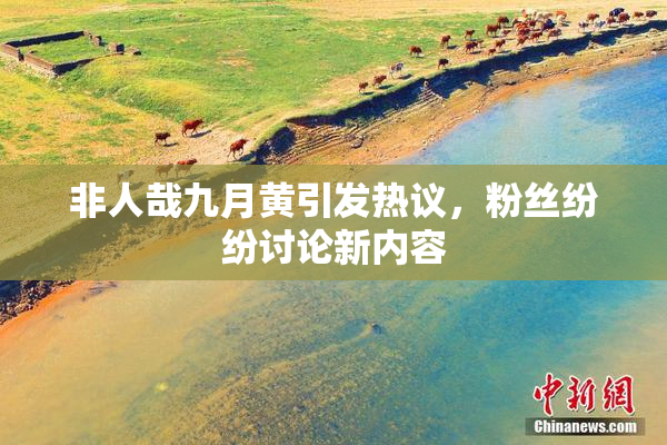非人哉九月黄引发热议，粉丝纷纷讨论新内容