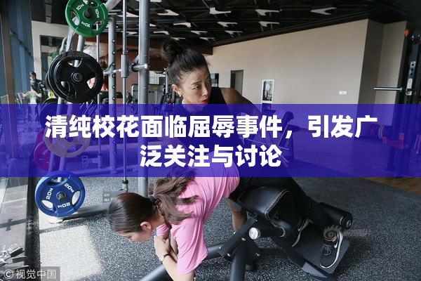 清纯校花面临屈辱事件，引发广泛关注与讨论