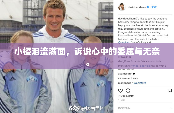 小樱泪流满面，诉说心中的委屈与无奈。