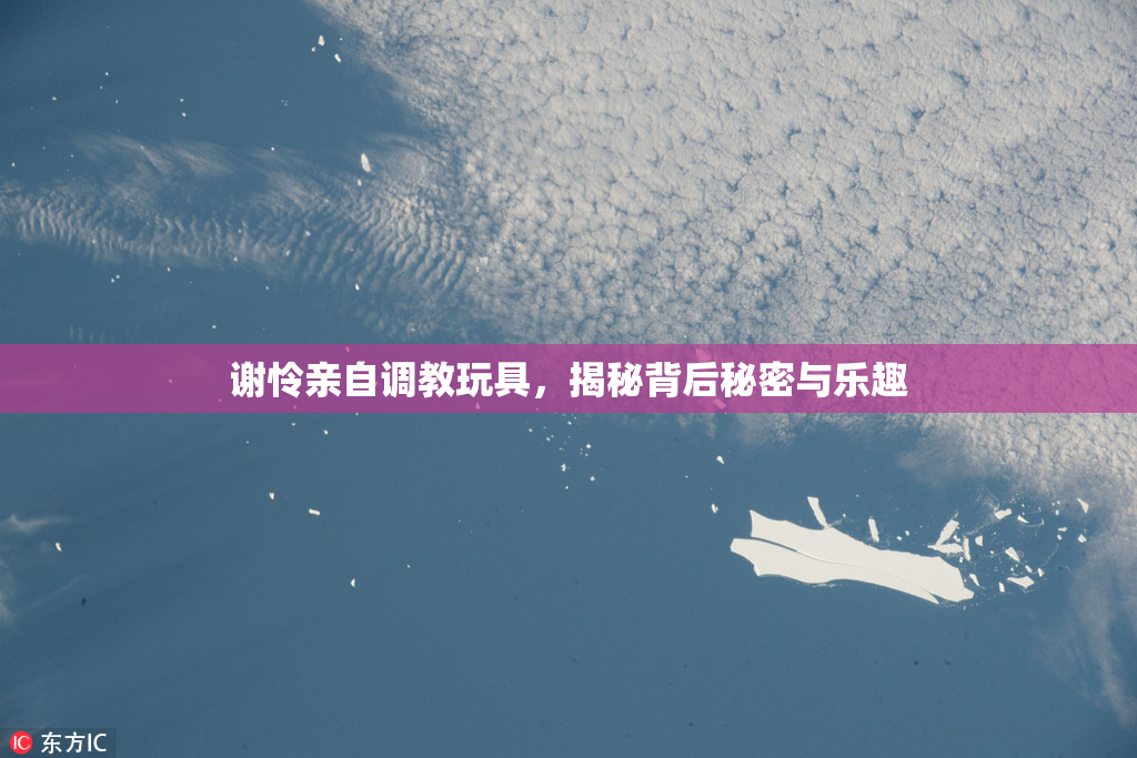 谢怜亲自调教玩具，揭秘背后秘密与乐趣