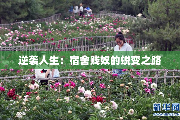 逆袭人生：宿舍贱奴的蜕变之路