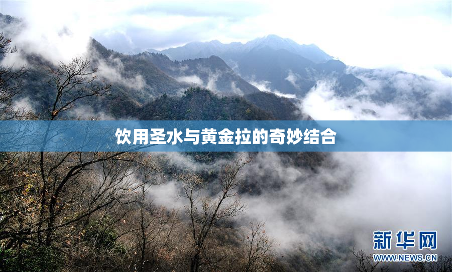 饮用圣水与黄金拉的奇妙结合