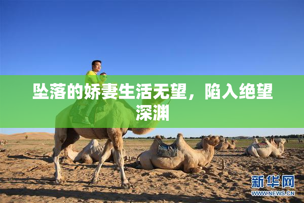 坠落的娇妻生活无望，陷入绝望深渊