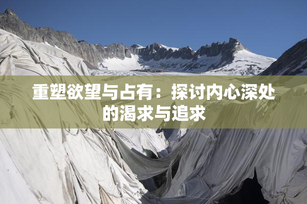 重塑欲望与占有：探讨内心深处的渴求与追求