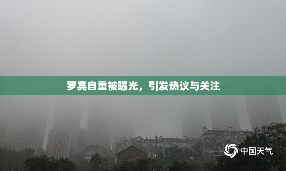 罗宾自重被曝光，引发热议与关注