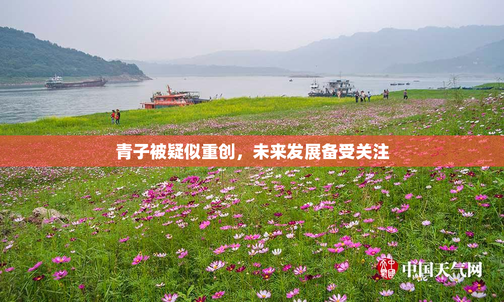 青子被疑似重创，未来发展备受关注