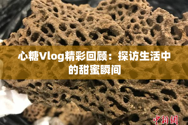 心糖Vlog精彩回顾：探访生活中的甜蜜瞬间