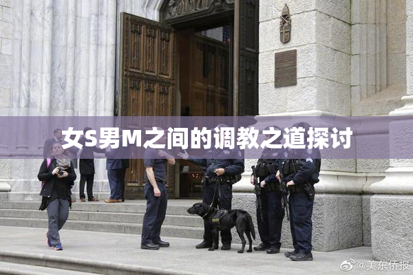 女S男M之间的调教之道探讨