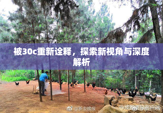被30c重新诠释，探索新视角与深度解析