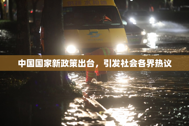 中国国家新政策出台，引发社会各界热议