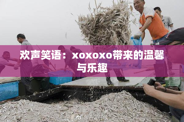 欢声笑语：xoxoxo带来的温馨与乐趣