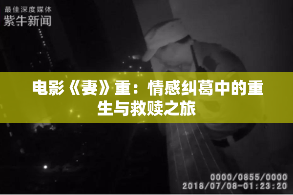 电影《妻》重：情感纠葛中的重生与救赎之旅