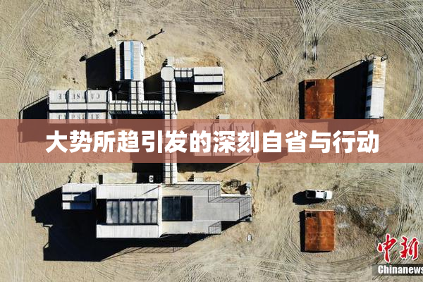 大势所趋引发的深刻自省与行动
