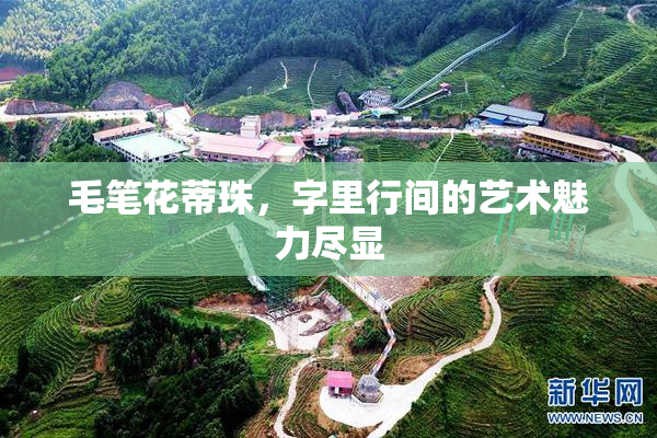毛笔花蒂珠，字里行间的艺术魅力尽显