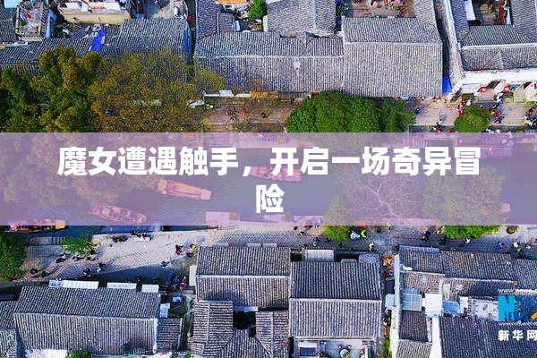 魔女遭遇触手，开启一场奇异冒险