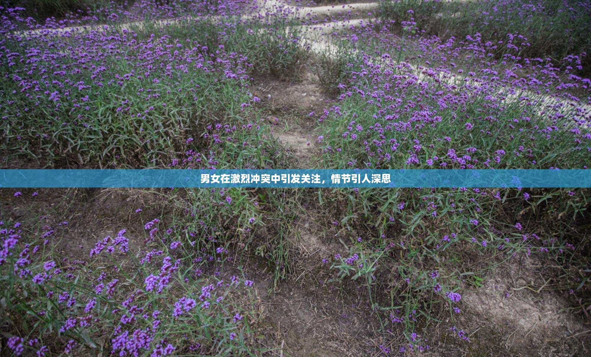 男女在激烈冲突中引发关注，情节引人深思