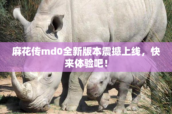 麻花传md0全新版本震撼上线，快来体验吧！