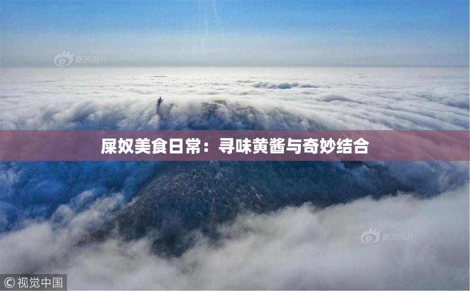 屎奴美食日常：寻味黄酱与奇妙结合
