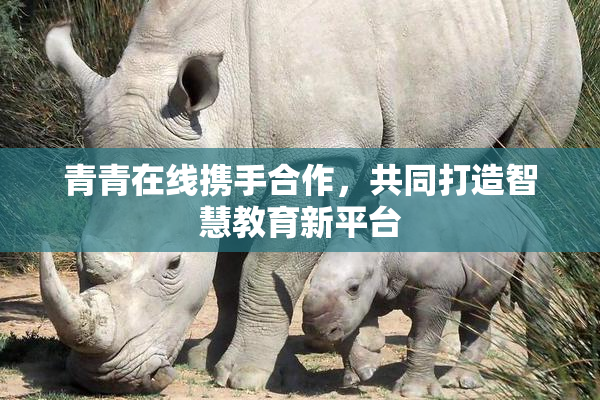 青青在线携手合作，共同打造智慧教育新平台