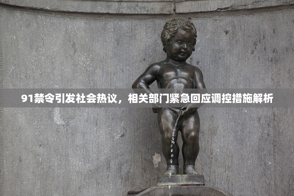 91禁令引发社会热议，相关部门紧急回应调控措施解析