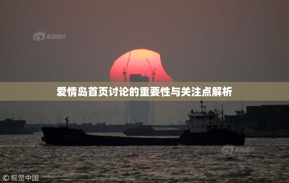 爱情岛首页讨论的重要性与关注点解析
