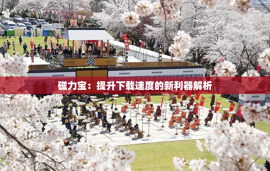磁力宝：提升下载速度的新利器解析