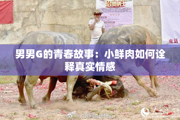 男男G的青春故事：小鲜肉如何诠释真实情感