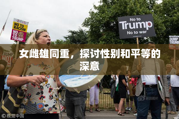 女雌雄同重，探讨性别和平等的深意