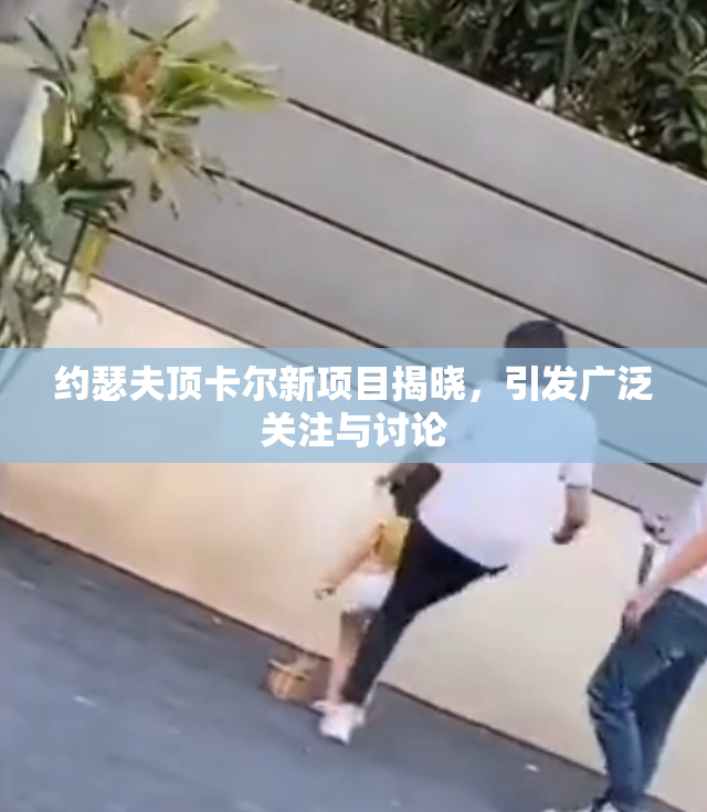 约瑟夫顶卡尔新项目揭晓，引发广泛关注与讨论