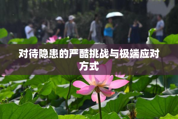 对待隐患的严酷挑战与极端应对方式