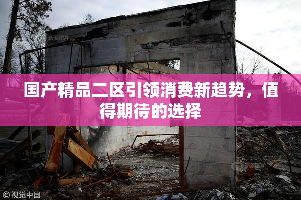 国产精品二区引领消费新趋势，值得期待的选择